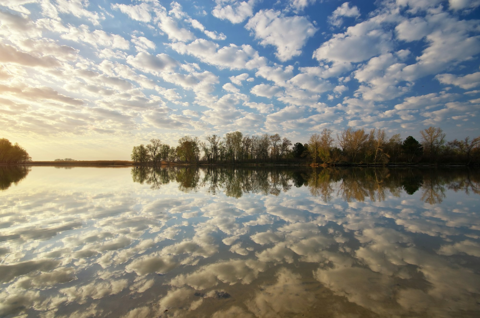 Morning water reflection.