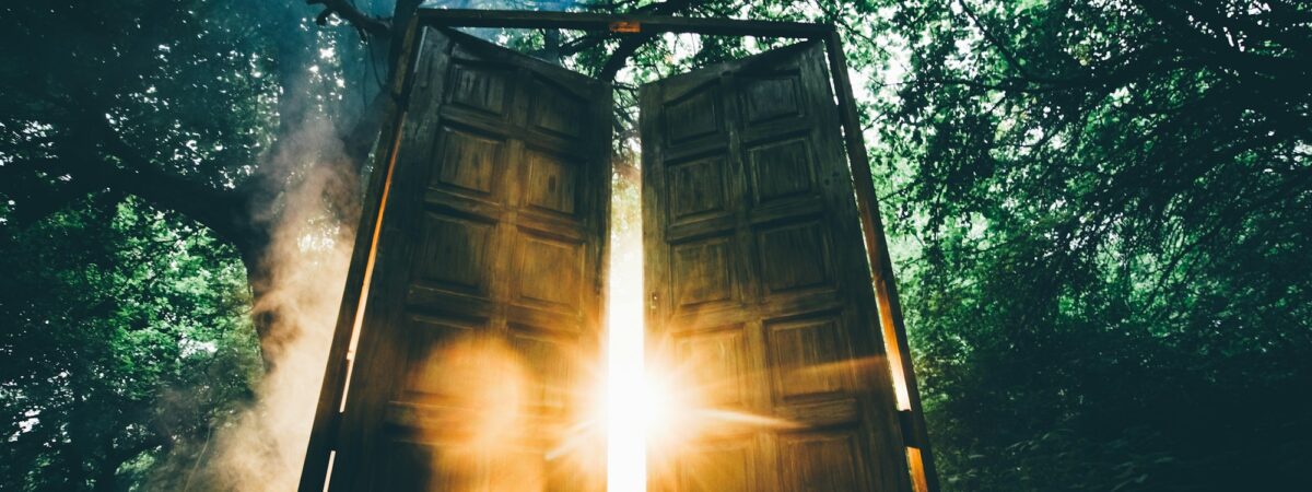 The fairytale door with back light in the mystic forest.